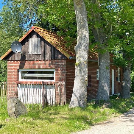 Hofgut Bisdamitz - Ferienhaus "Knoff" Bagian luar foto
