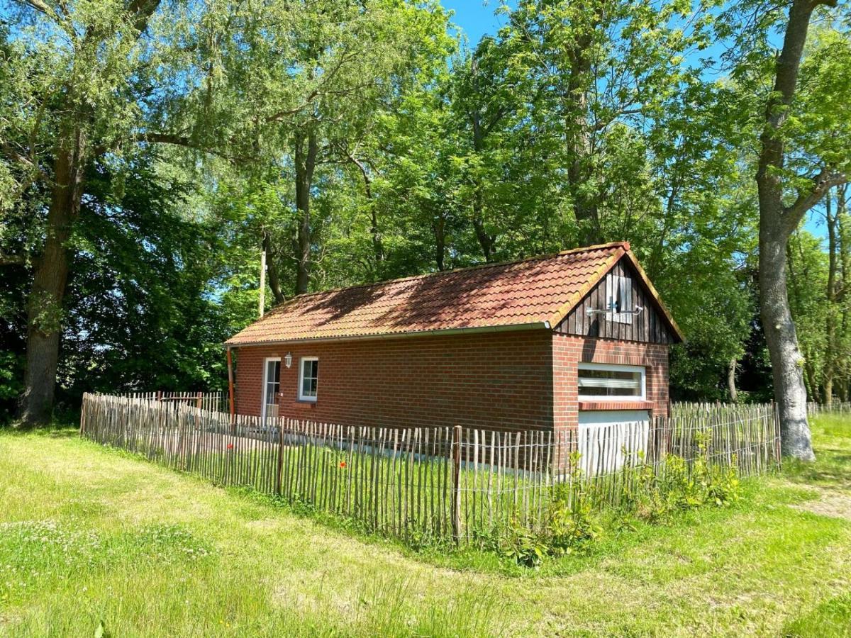 Hofgut Bisdamitz - Ferienhaus "Knoff" Bagian luar foto