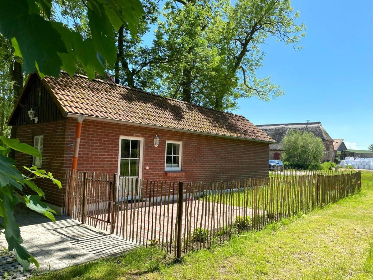 Hofgut Bisdamitz - Ferienhaus "Knoff" Bagian luar foto