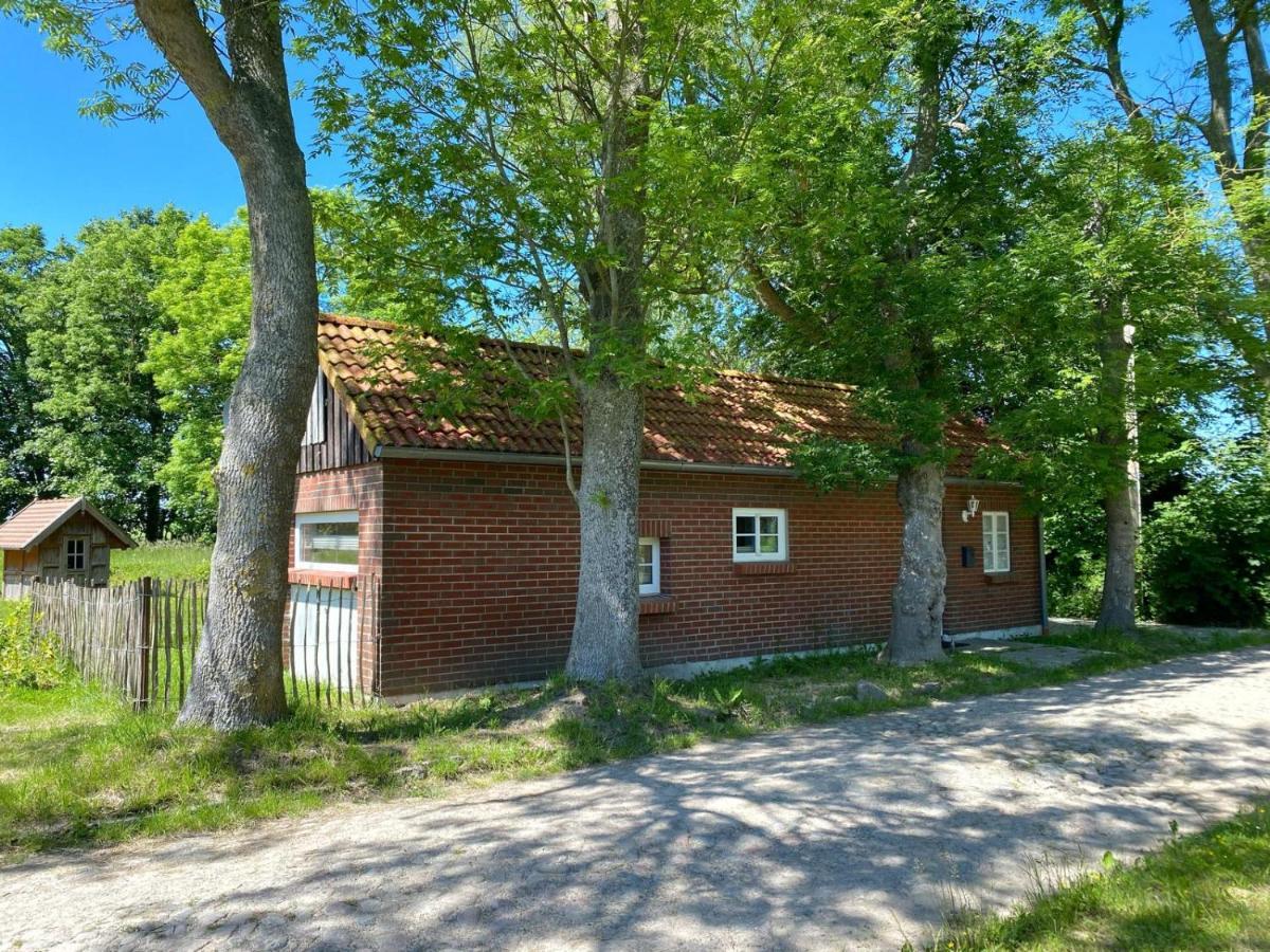 Hofgut Bisdamitz - Ferienhaus "Knoff" Bagian luar foto